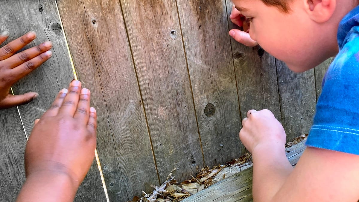 What to do when children stomp on, play with, cry about, and intervene with critters? Answer–it depends