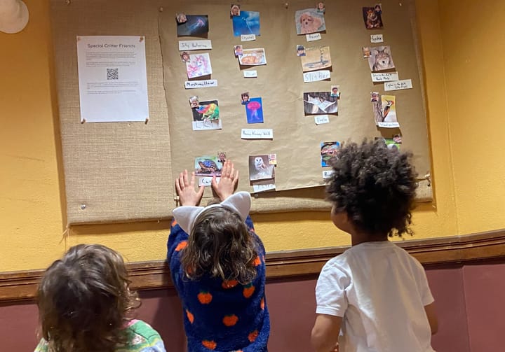 Special Critter Friends